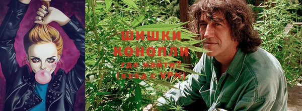 сатива Верхнеуральск