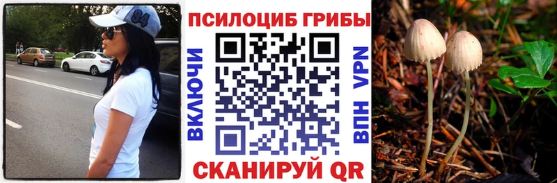 площадка какой сайт  Выборг  Псилоцибиновые грибы ЛСД  даркнет сайт 