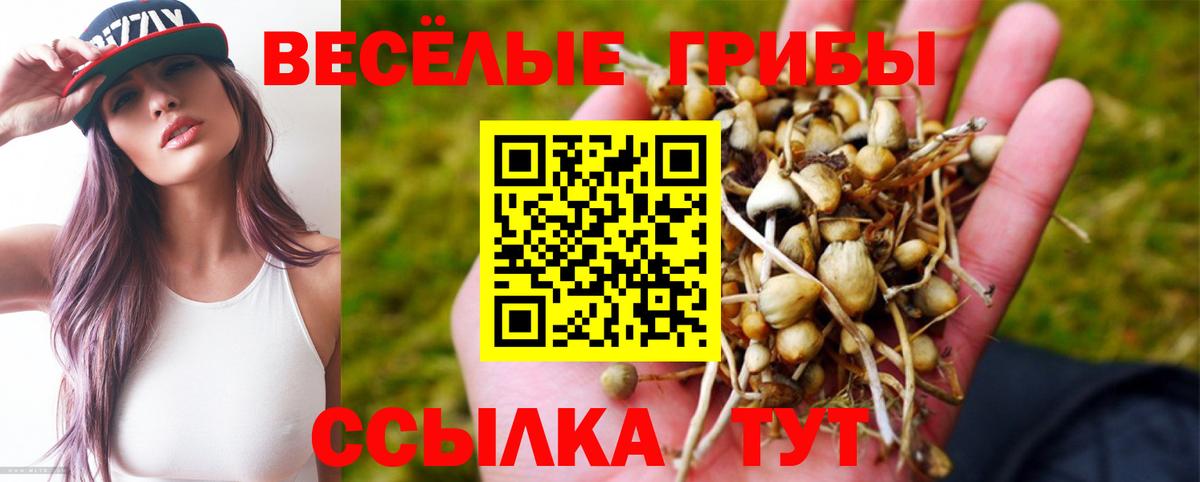 Галлюциногенные грибы ЛСД  Вход с VPN  Псилоцибиновые грибы мухоморы  Выборг 